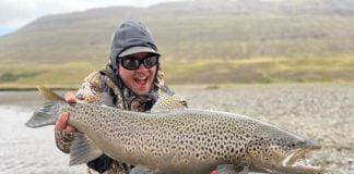 Risa birtingar í Eyjafjarðará
