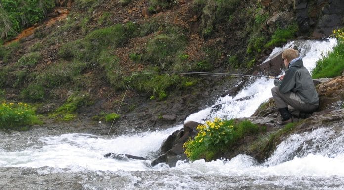 Úlfarsá – lítil, krefjandi, gjöful