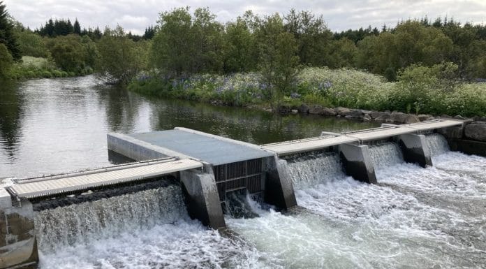 Framtíð Elliðaána –