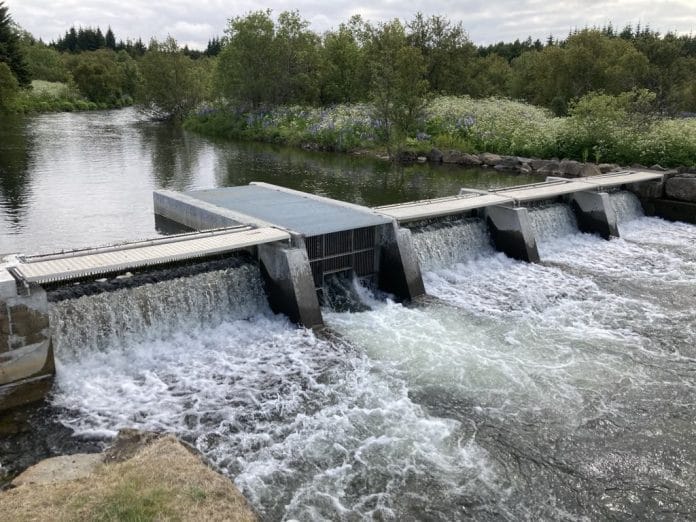 2025 Elliðaárnar í dag 2