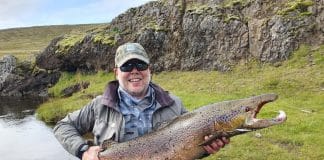 Senn tekur allt enda – tröllin tekin við