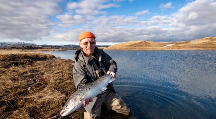 Hvað er að frétta af Green Dum?
