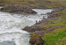 Fer að bresta á og lax kominn víða