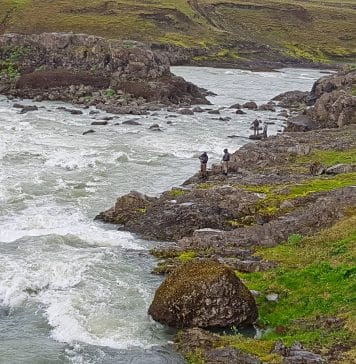 Fer að bresta á og lax kominn víða