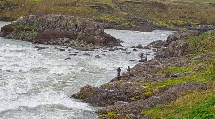 Fer að bresta á og lax kominn víða