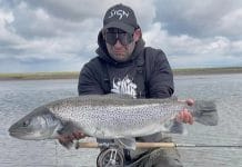 Stórir birtingar furðu snemma á ferð