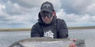 Stórir birtingar furðu snemma á ferð