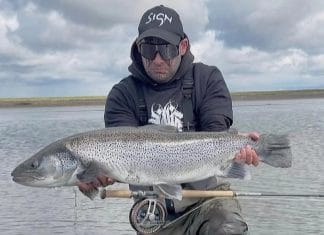 Stórir birtingar furðu snemma á ferð