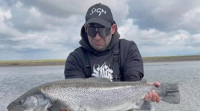 Stórir birtingar furðu snemma á ferð