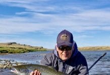 Líflegar vaktir í Þverá og laxar að sjást víða