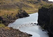 Norðurá næst og lax víða að sjá