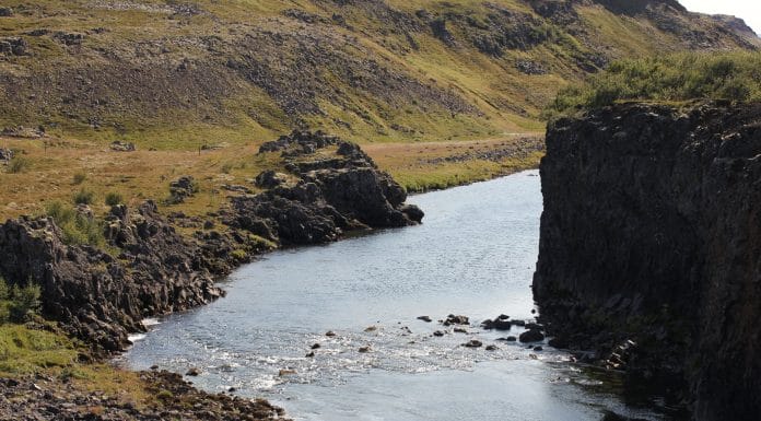 Norðurá næst og lax víða að sjá