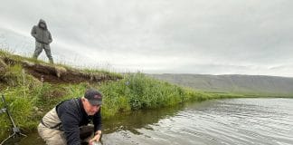 Hefur ekki hugmynd um hver staðan er