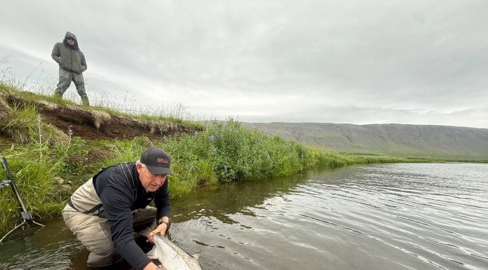 Hefur ekki hugmynd um hver staðan er