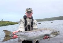 Að geyma lappirnar niðri á jörðinni