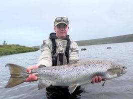 Að geyma lappirnar niðri á jörðinni