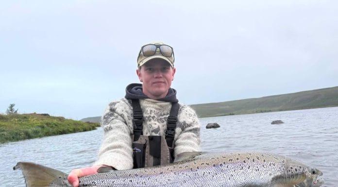 Að geyma lappirnar niðri á jörðinni