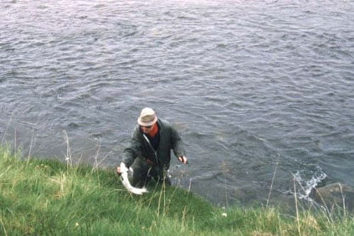 Garðar landar laxi.....